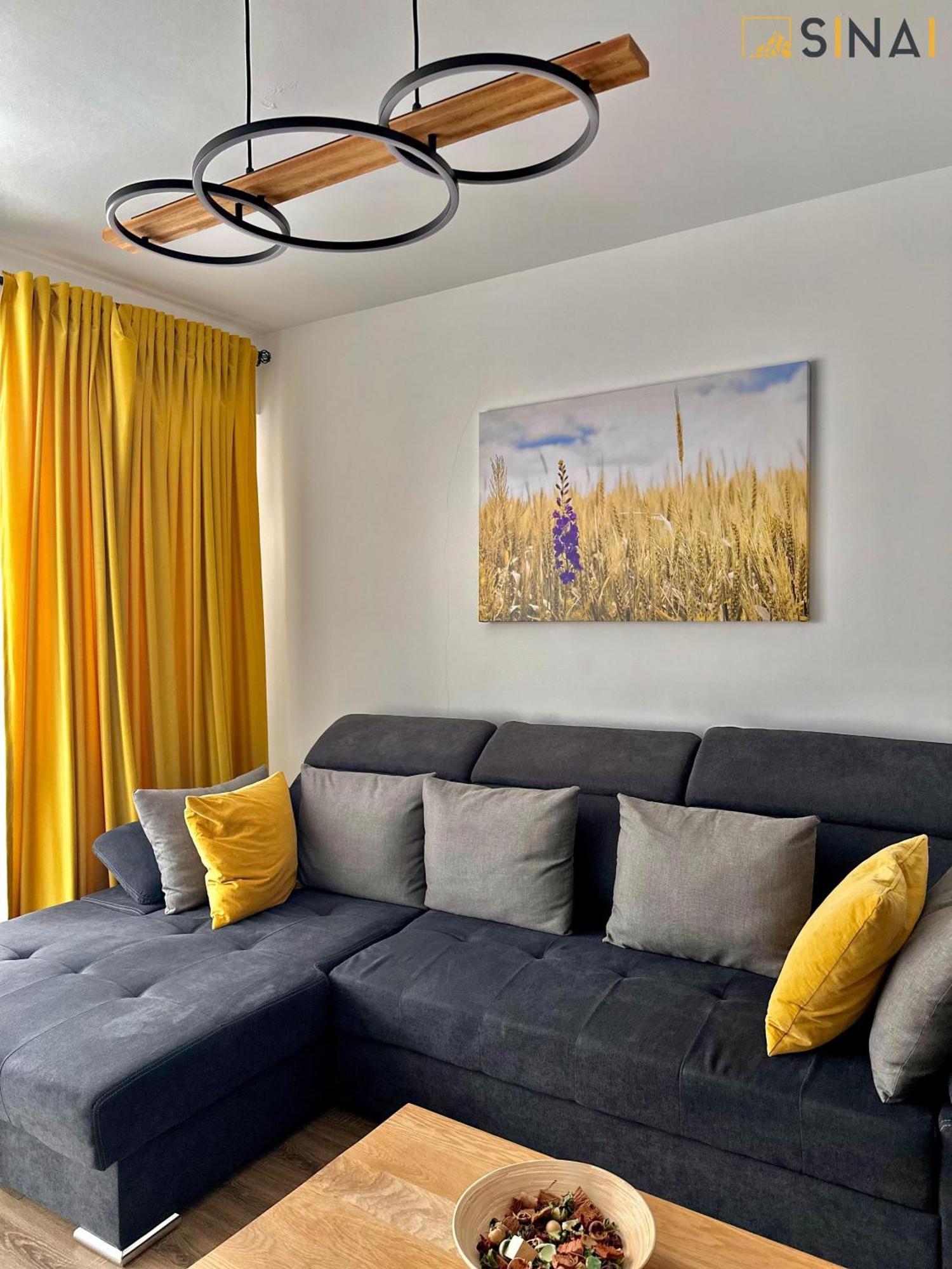Sinai Aph Apartments Sinaia Exterior photo